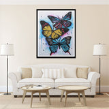 Three Colorful Butterfly