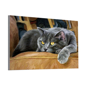 Cat On Couch Special Diamond Painting