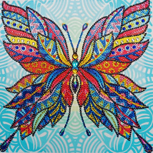 Colorful Beautiful Butterfly