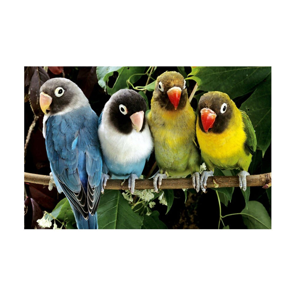 Lovely Parrots On Branch Painting