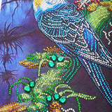 Blue And White Parrot On Branch