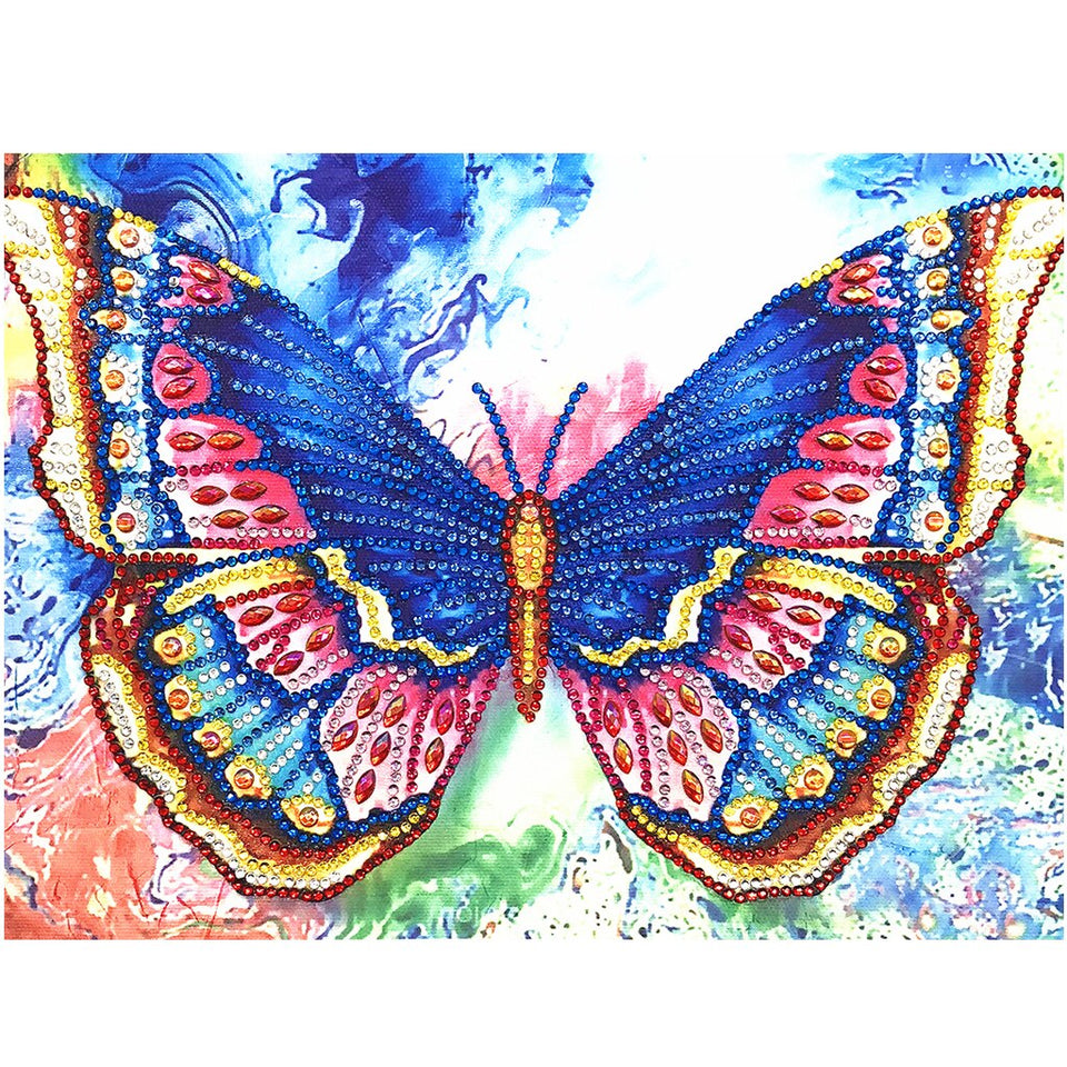 Cute Butterfly In Colors