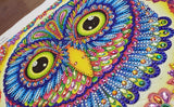 Owl Motif Painting