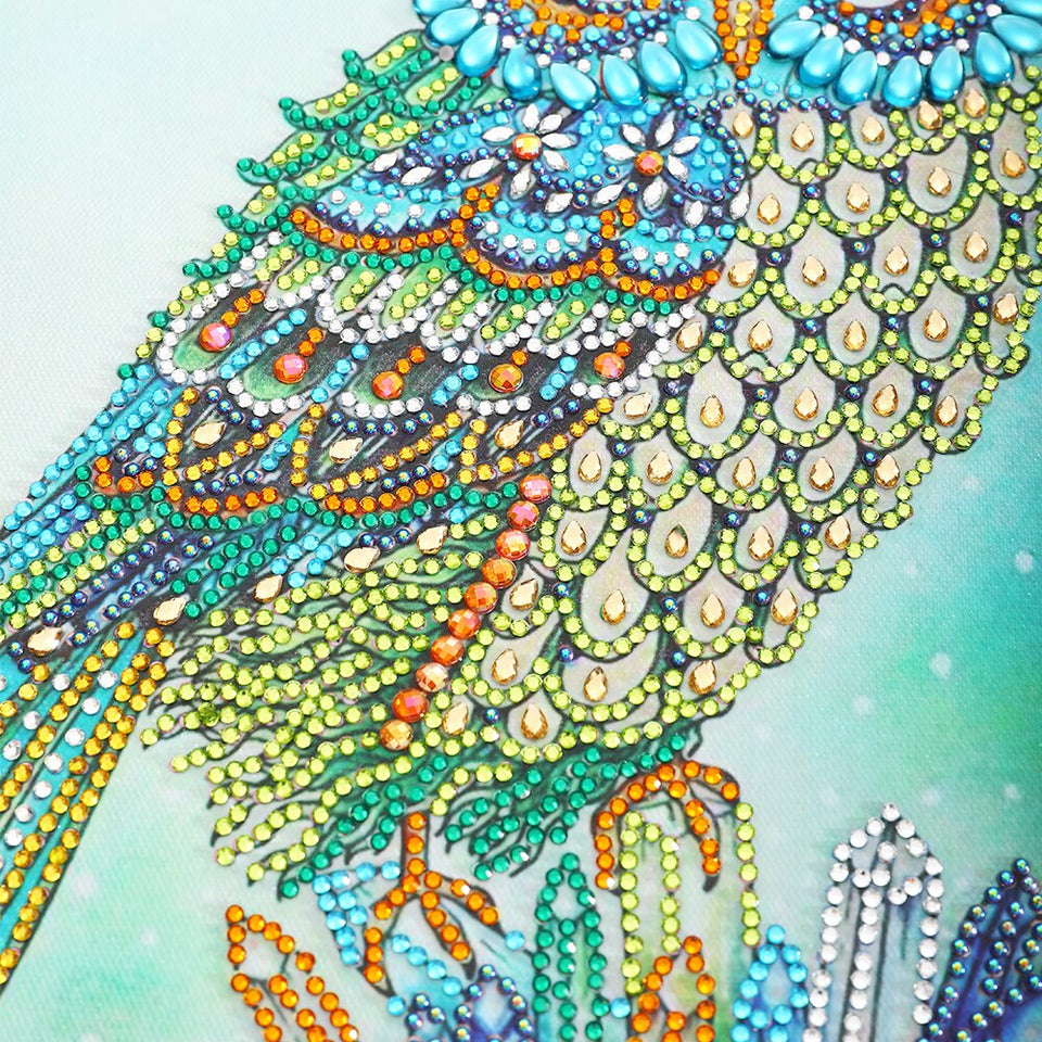 Owl With Crown Colorful Painting