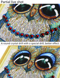 Owl With Big Eyes
