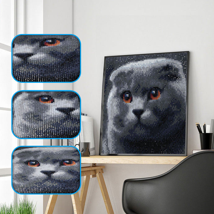 Black Cat