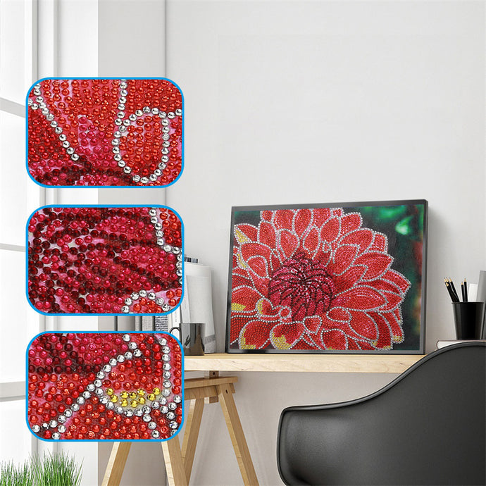 Colorful Flowers