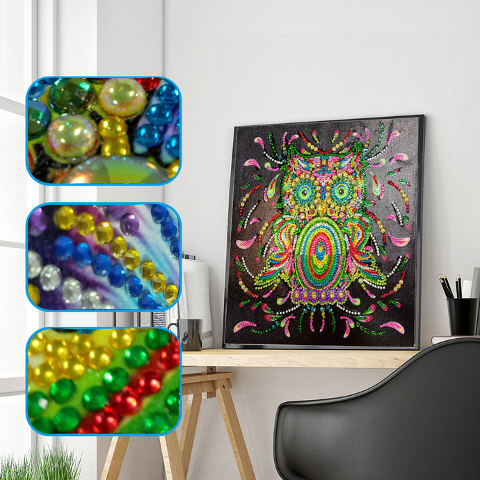 Owl Cute Motif Painting