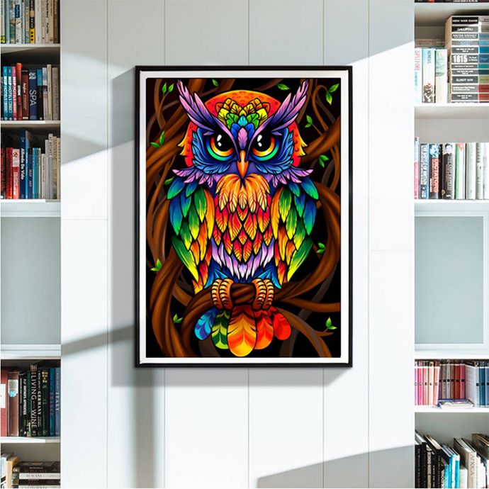 Lovely Owl Colorful