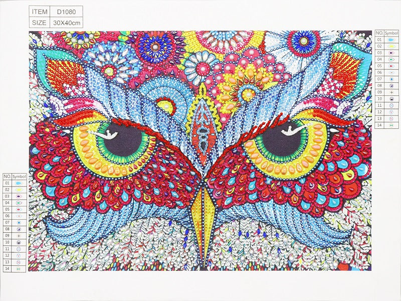 Colorful Owl Eyes