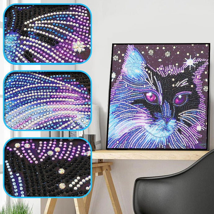 Multi Color Cat