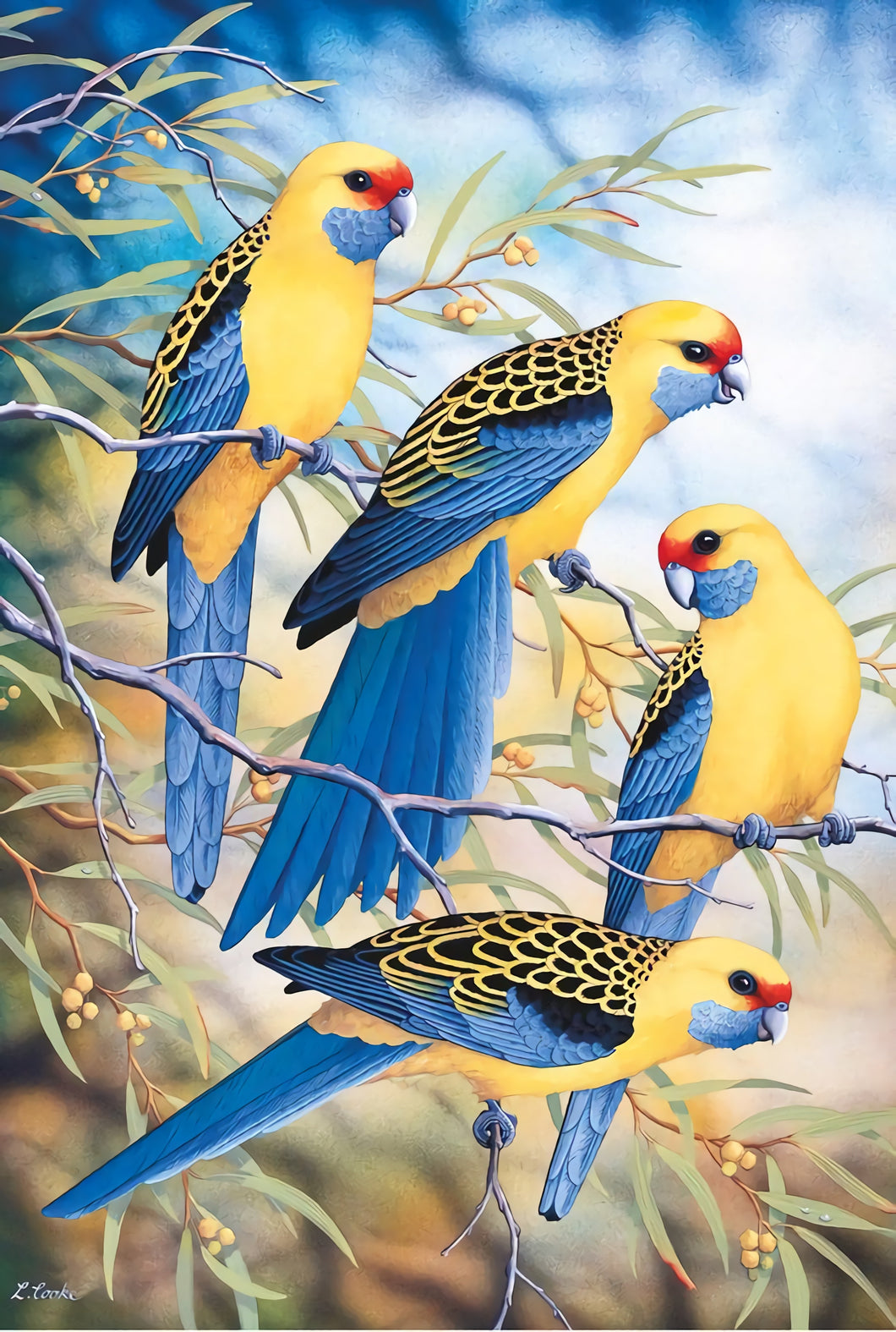 Cute Colorful Parrots On Tree