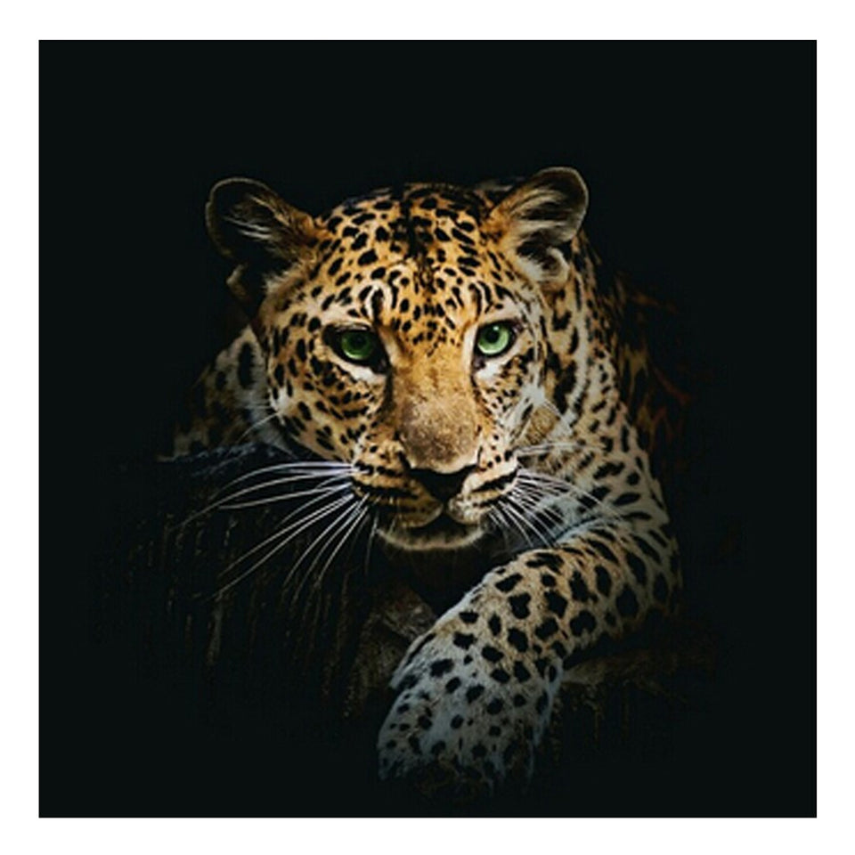 Hunting Tiger Special Diamond Painting