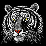Black And White Tiger Special Diamond Painting