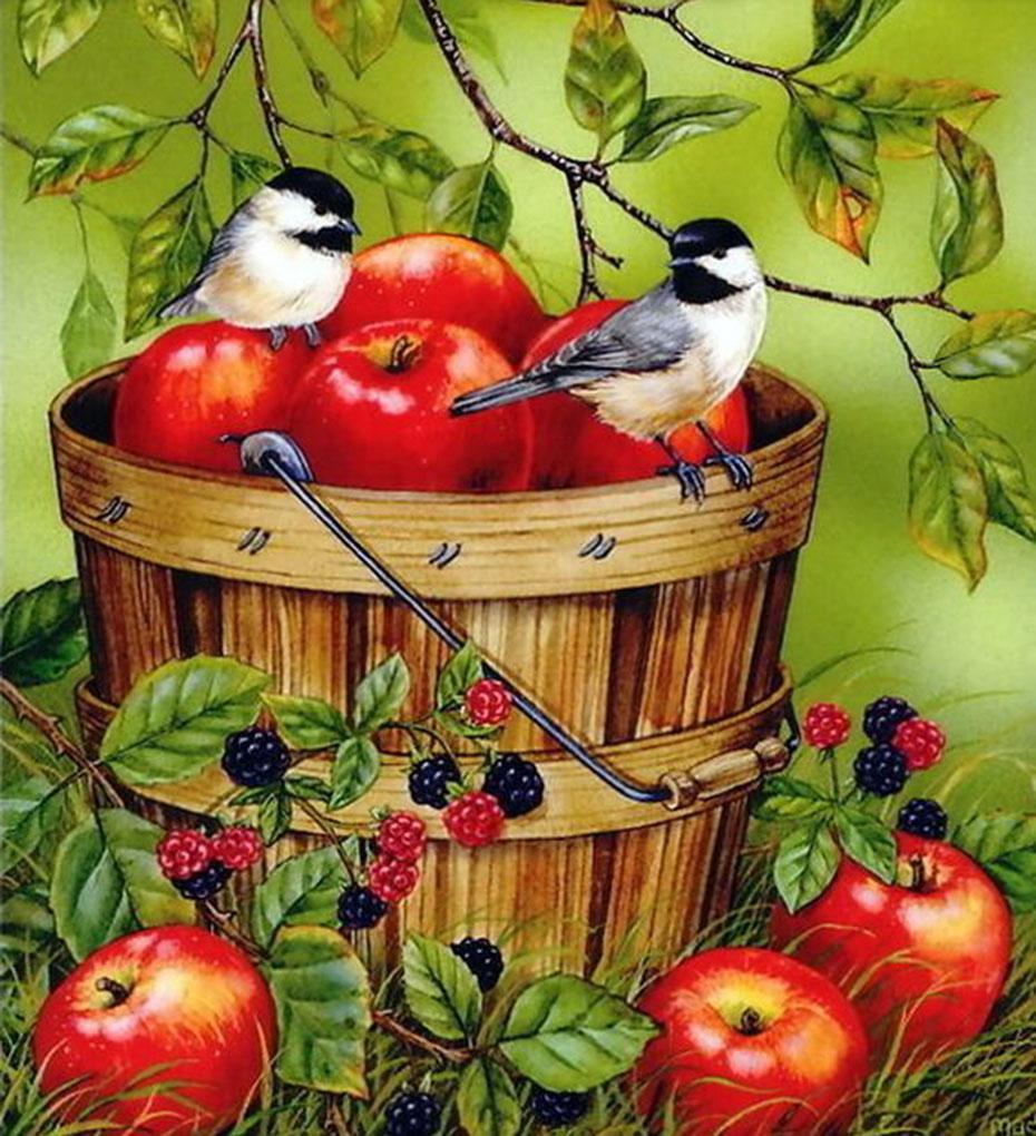 Apples in a Bucket & Sparrows Diamond Painting - diamond-painting-bliss.myshopify.com