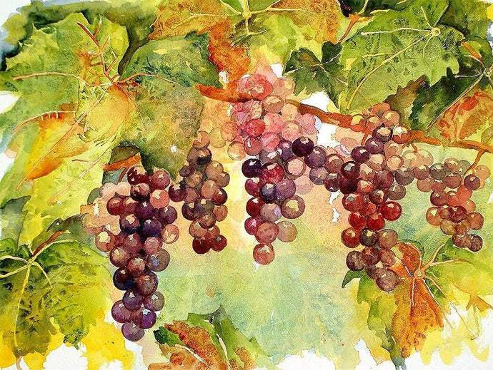 Hanging Grapes DIY Painting - diamond-painting-bliss.myshopify.com
