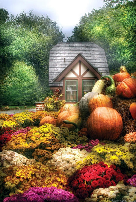 Pumpkin Garden DIY Diamond Painting - diamond-painting-bliss.myshopify.com