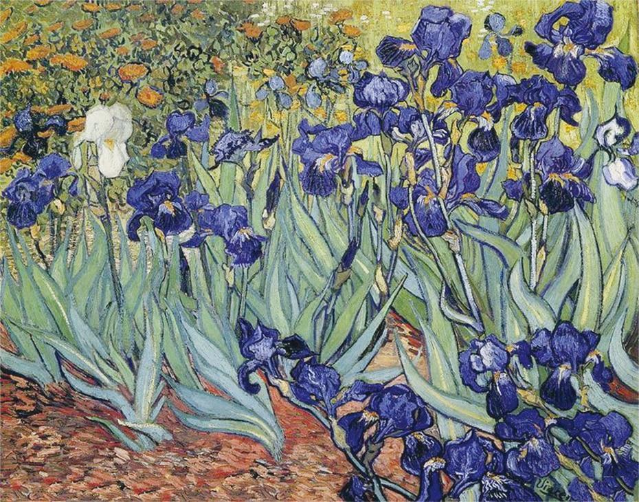 Irises DIY Diamond Painting  - Vincent Van Gogh - diamond-painting-bliss.myshopify.com