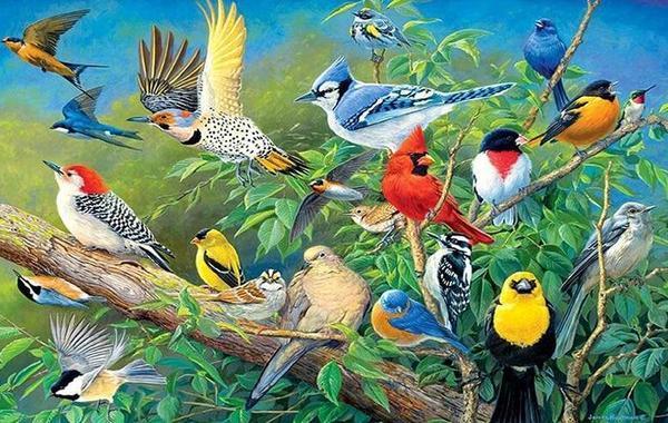 Collection of Birds DIY Diamond Painting - diamond-painting-bliss.myshopify.com