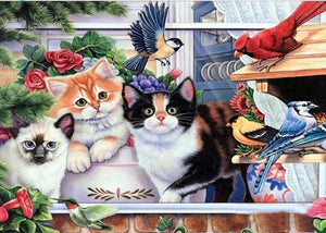 Cats & Birds DIY Diamond Paintings - diamond-painting-bliss.myshopify.com