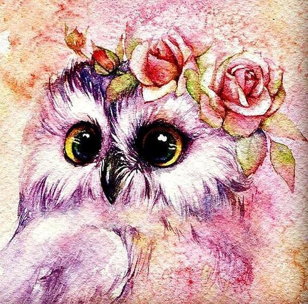 Cute Owl with Flower Crown - diamond-painting-bliss.myshopify.com