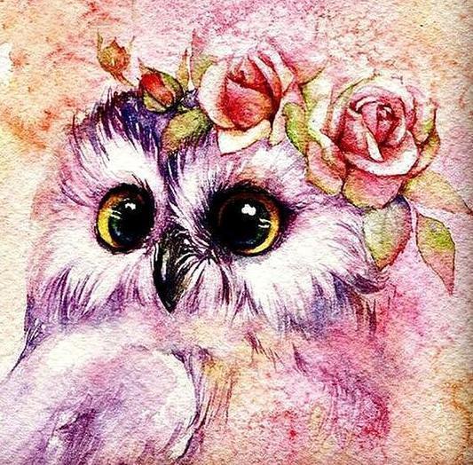 Cute Owl with Flower Crown - diamond-painting-bliss.myshopify.com